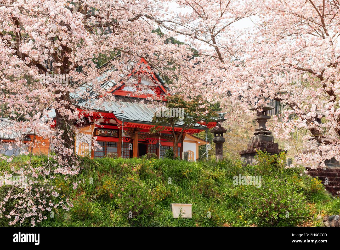 Kotokuji Temple, Shizuoka, Japan in spring season. Stock Photo