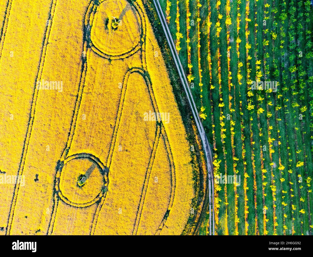 Rural agricultural landscape in summer evening Stock Photo Alamy