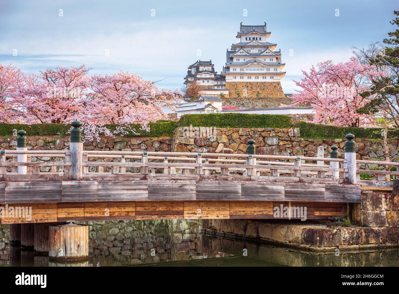 Himeji, Japan at Himeji Castle during spring cherry blossom season. Stock Photo