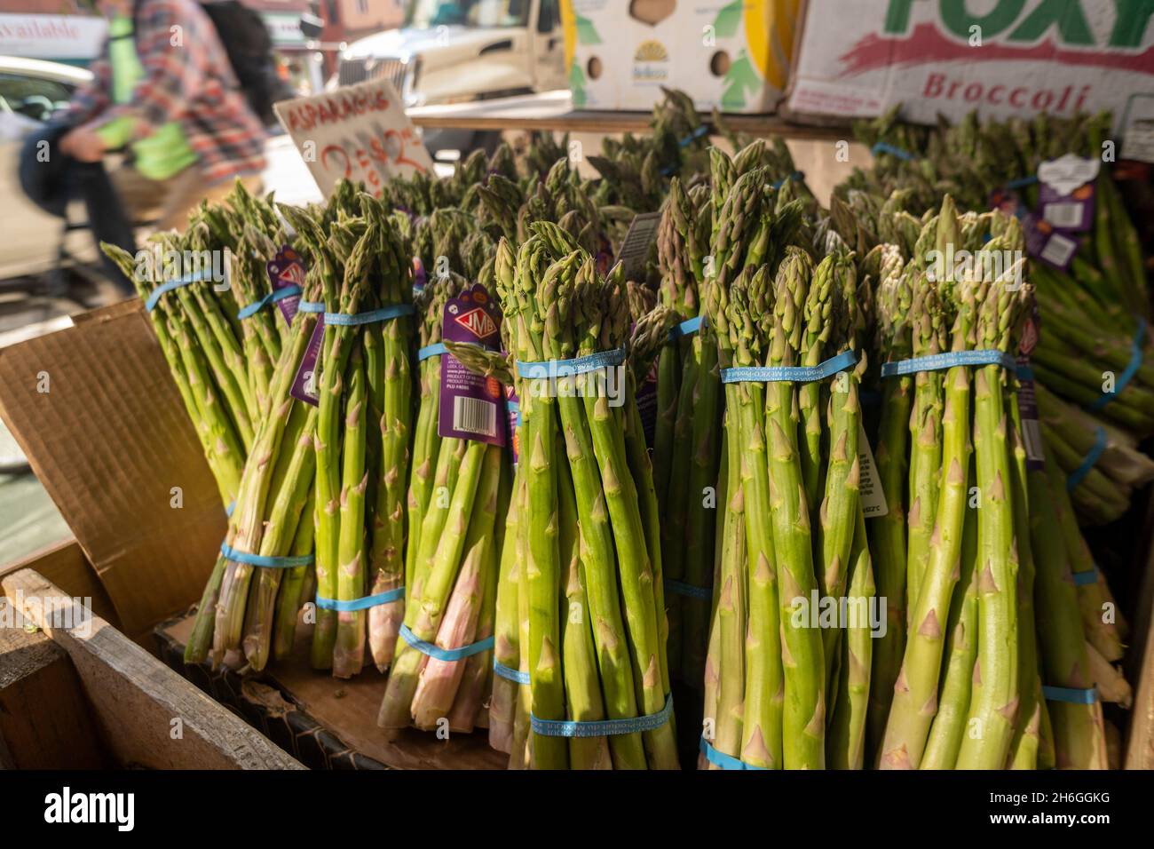 Asparagus farming farmers hires stock photography and images Alamy