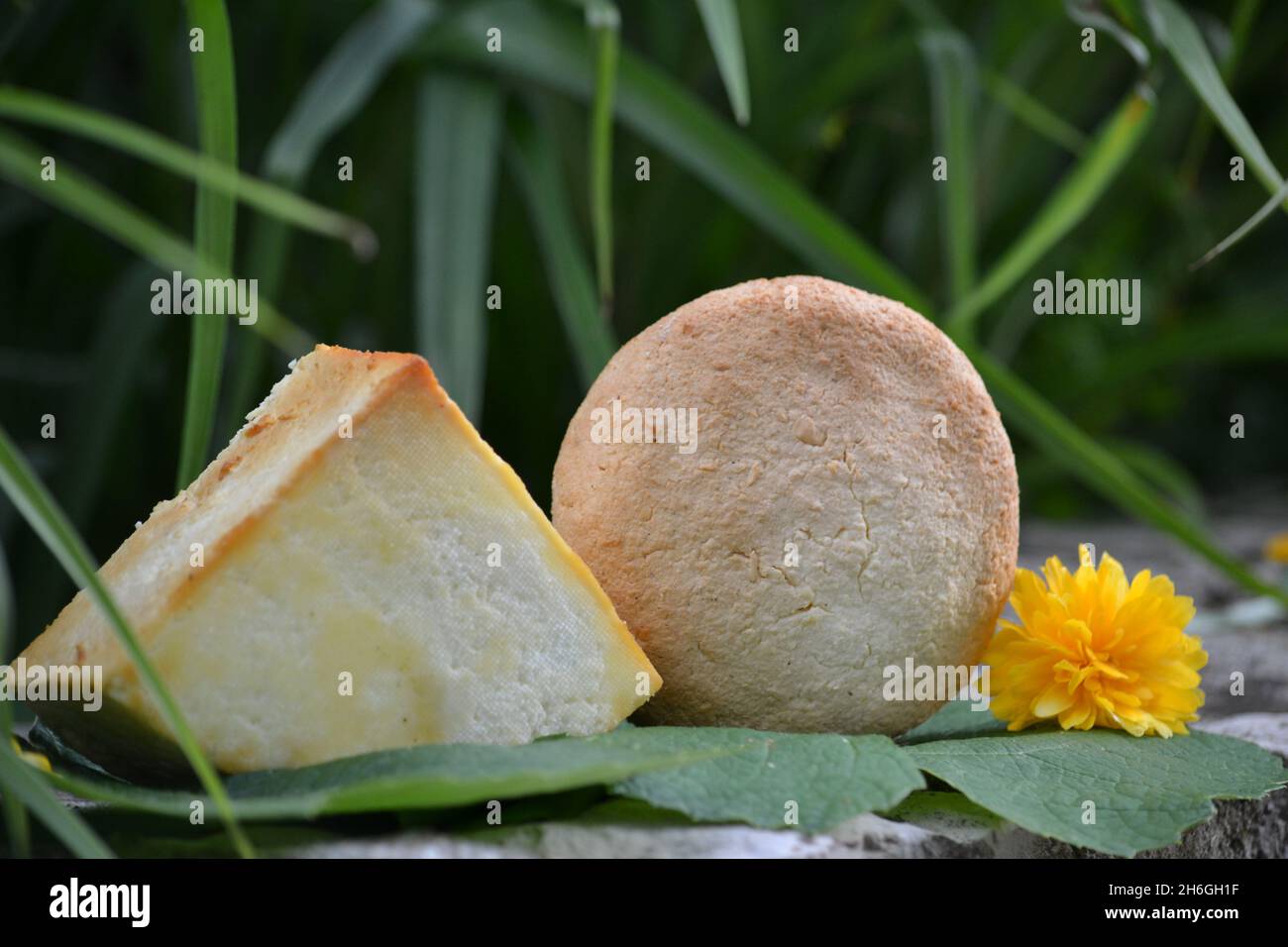 Round-shaped bread and triangle-shaped cheese outdoors on large leaves ...