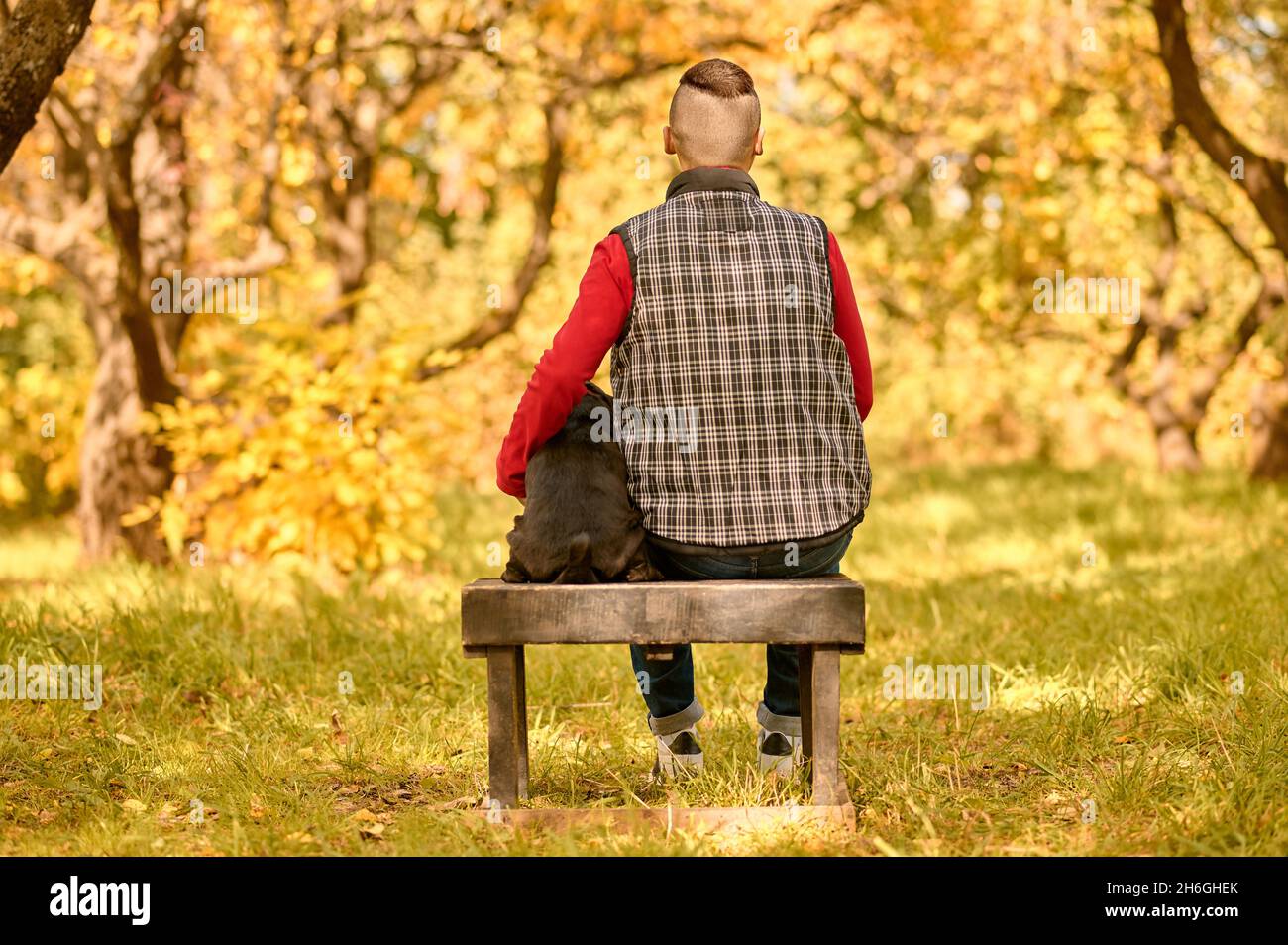 A man sitting on the bench with his dog in the park Stock Photo - Alamy