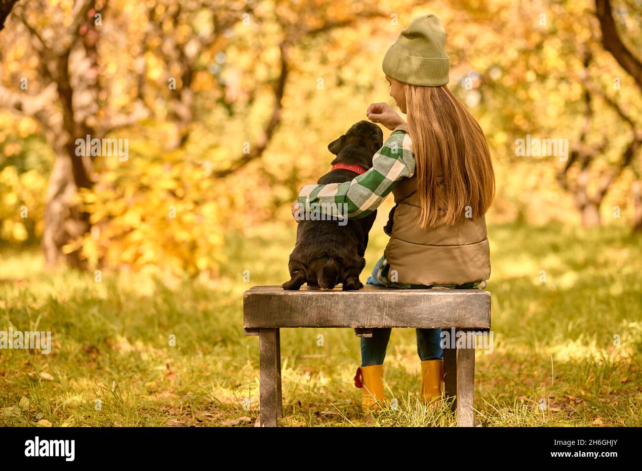 A girl sitting on the bench with her dog in the park Stock Photo - Alamy