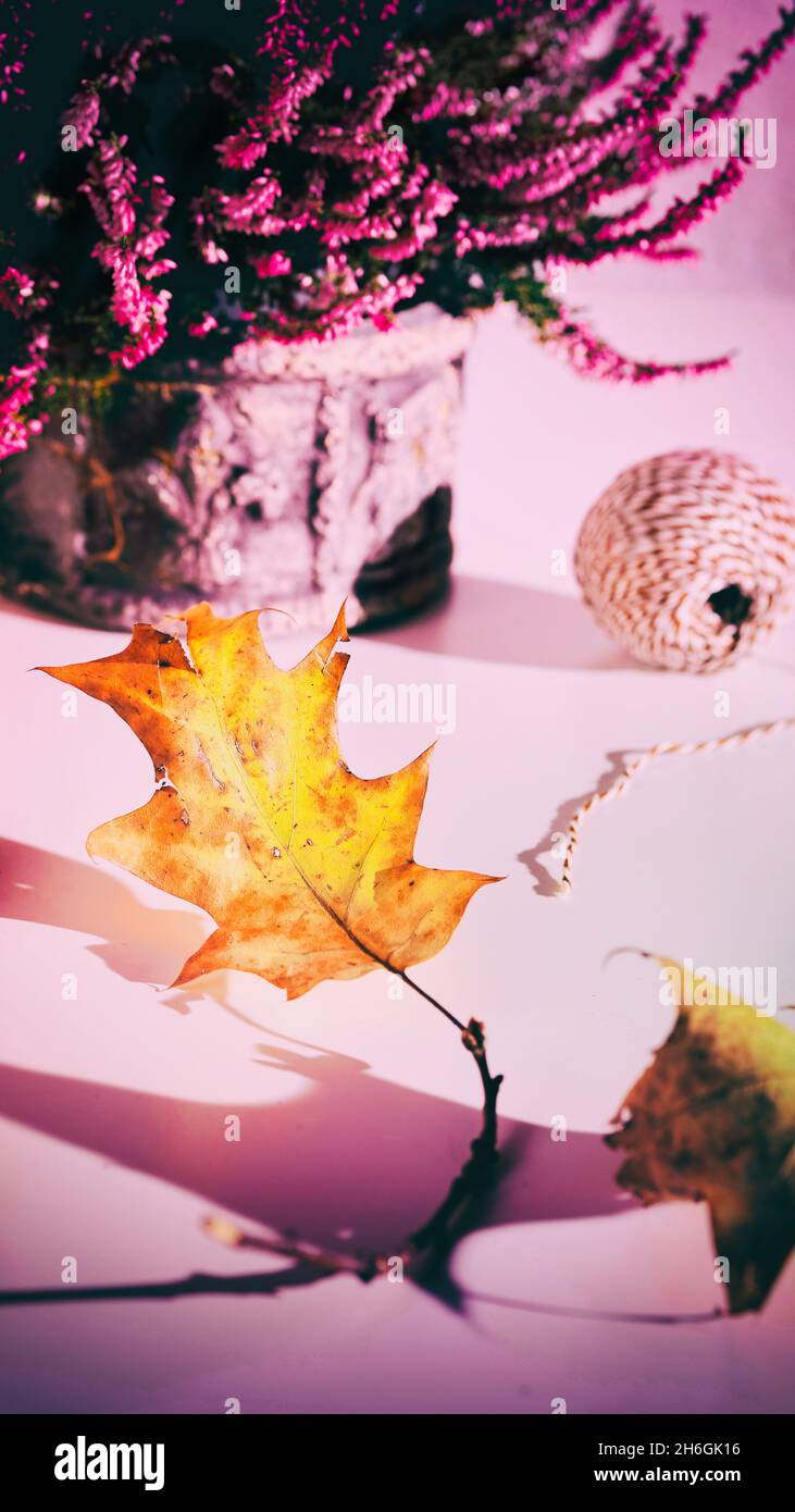 Long life cream pot hires stock photography and images Alamy