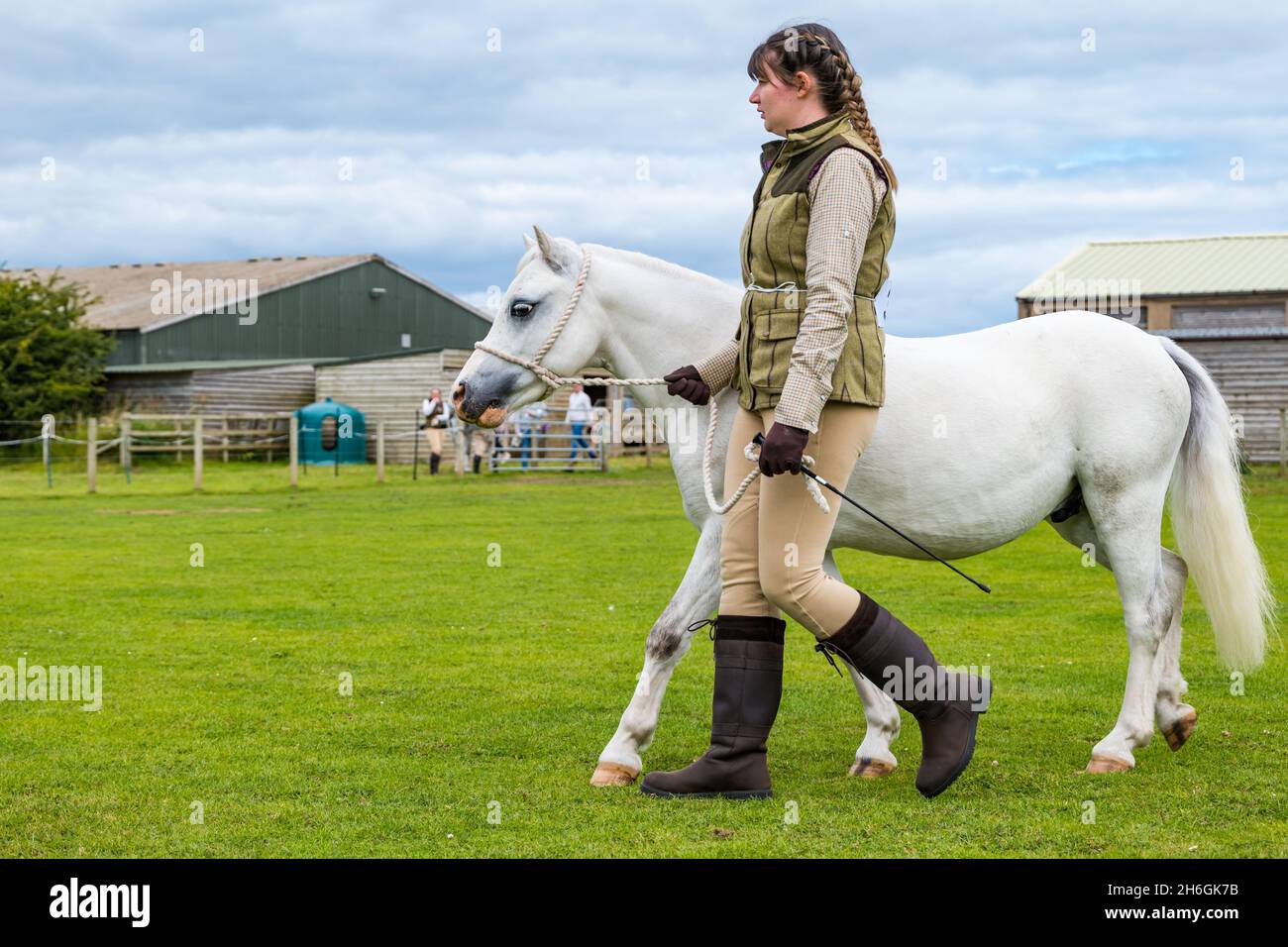 Summer horse show: a woman leading a pony in a field, East Lothian, Scotland, UK Stock Photo