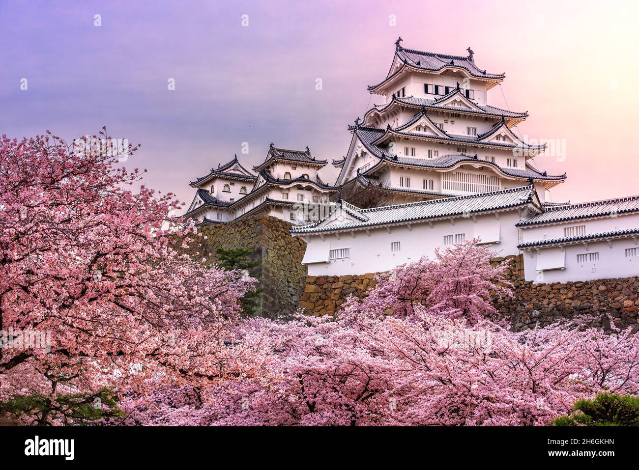 Himeji, Japan at Himeji Castle during spring cherry blossom season Stock Photo Alamy