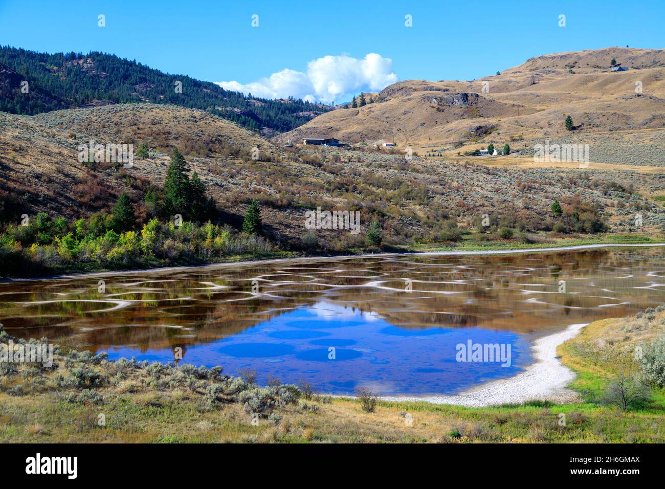 Spotted Lake is a saline endorheic alkali lake located northwest of