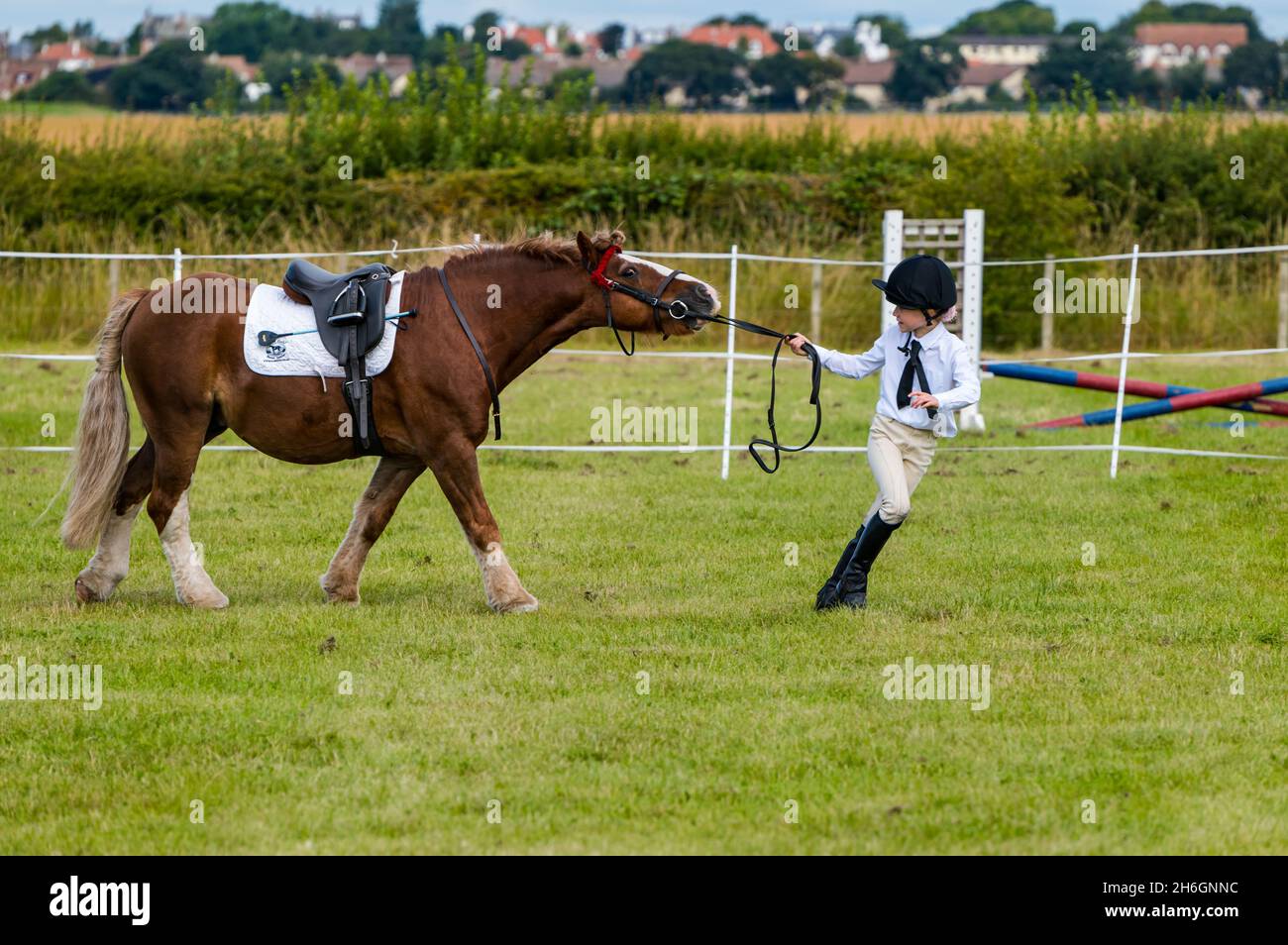 Summer horse show with a young girl pulling a pony with the reins, East
