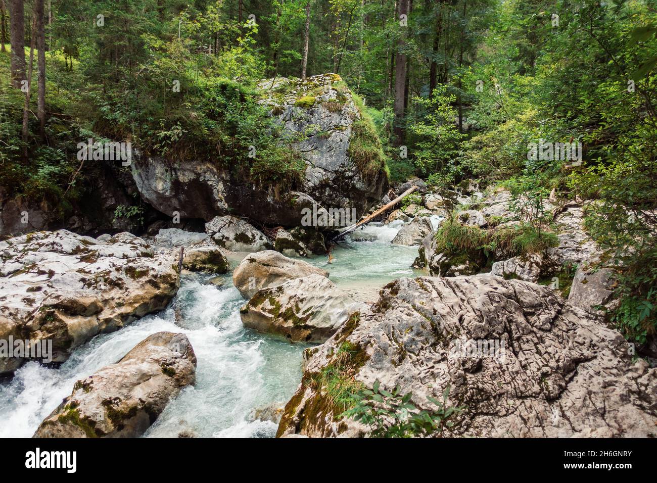 Beautiful view of water river in forest Ramsau Berchtesgaden Bavaria ...