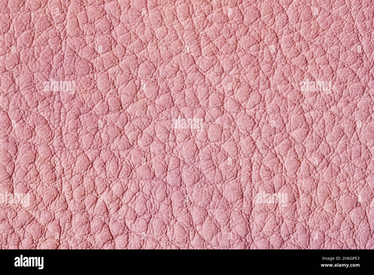 Genuine leather texture close-up, spring pink color, trendy background. Modern backdrop, copy space Stock Photo