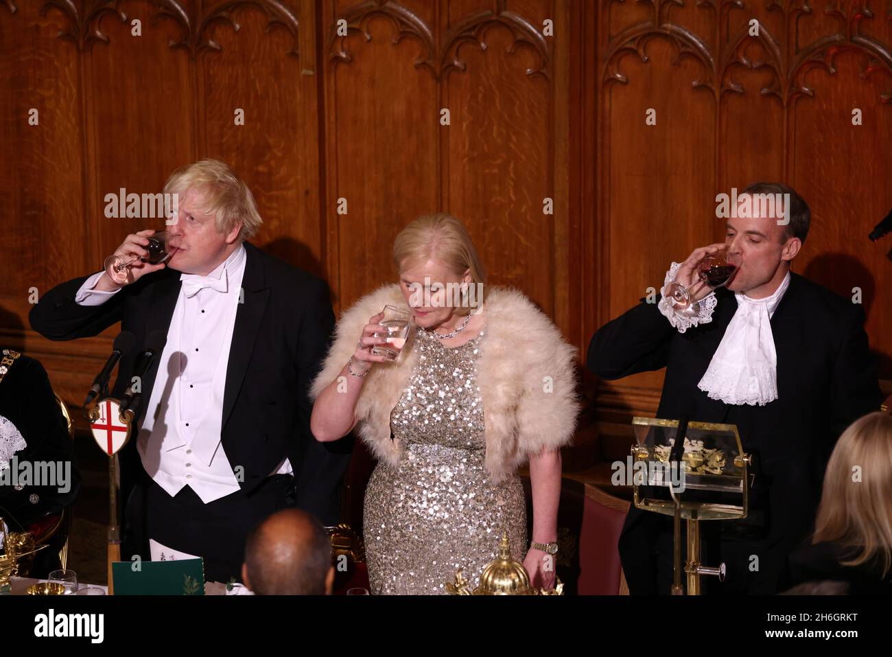 Lord dominic johnson hires stock photography and images Alamy