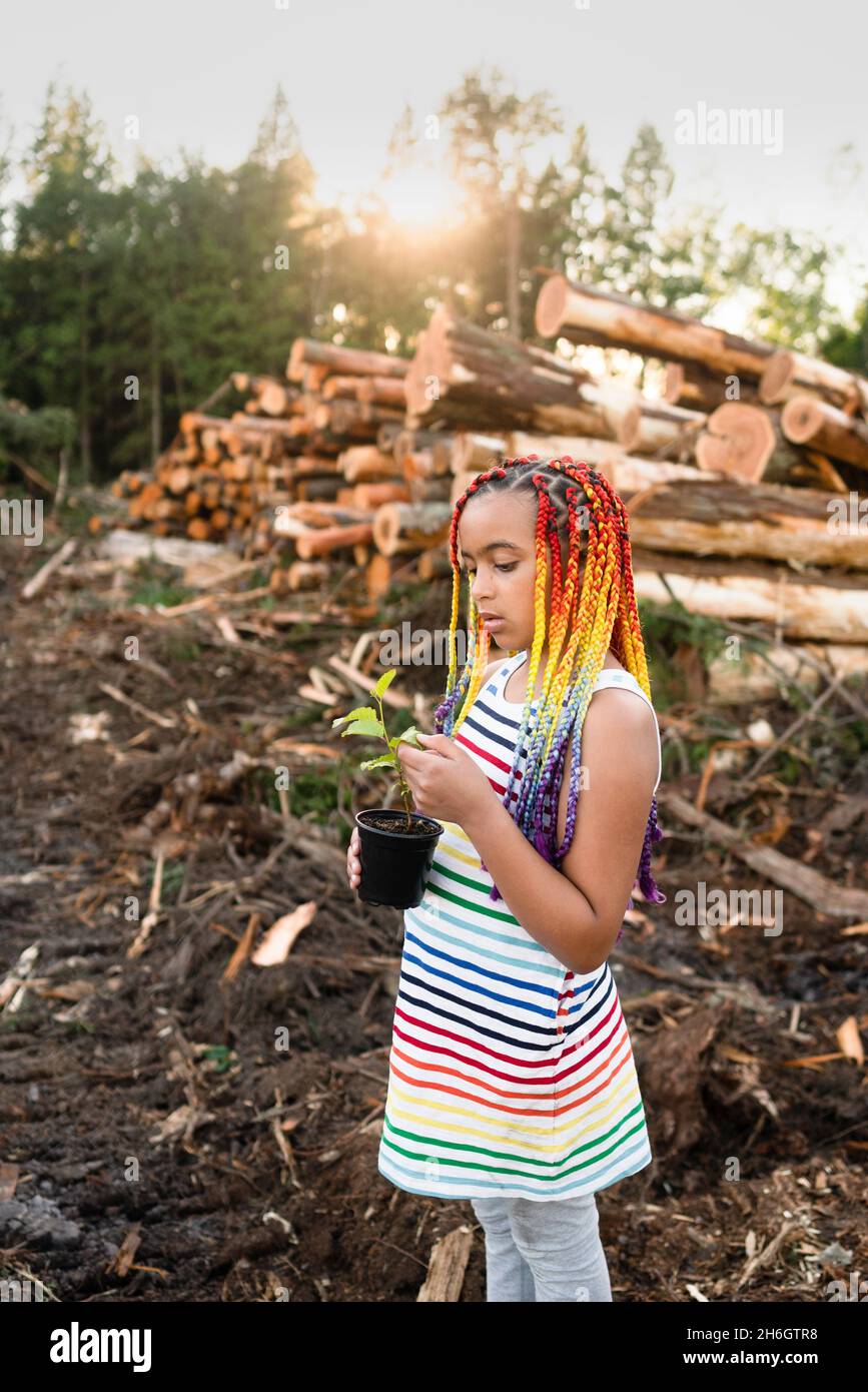 Young mixed race girl with rainbow box braids stands on logging site