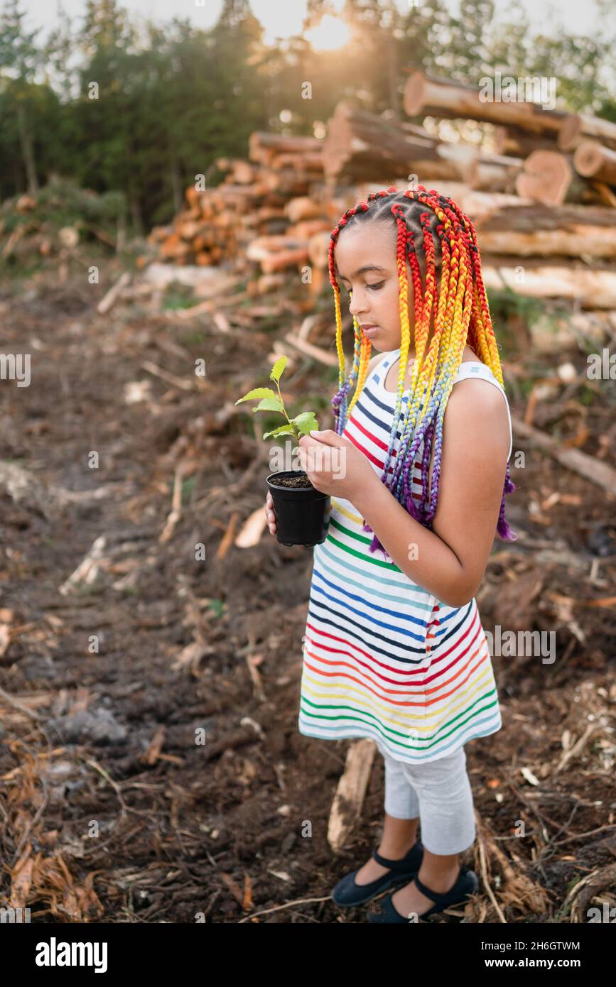 Young mixed race girl with rainbow box braids stands on logging site