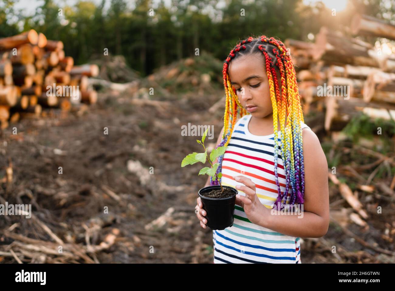 Young mixed race girl with rainbow box braids stands on logging site