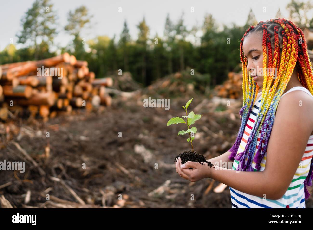 Young mixed race girl with rainbow box braids stands on logging site