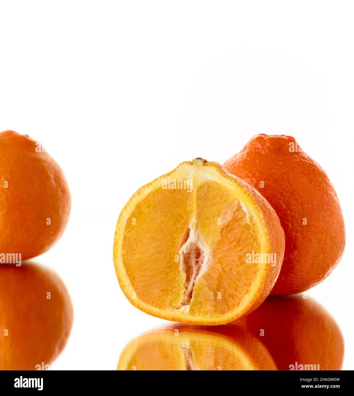 Super juicy Tangelo (Mineola Fruit) food stilllife representation