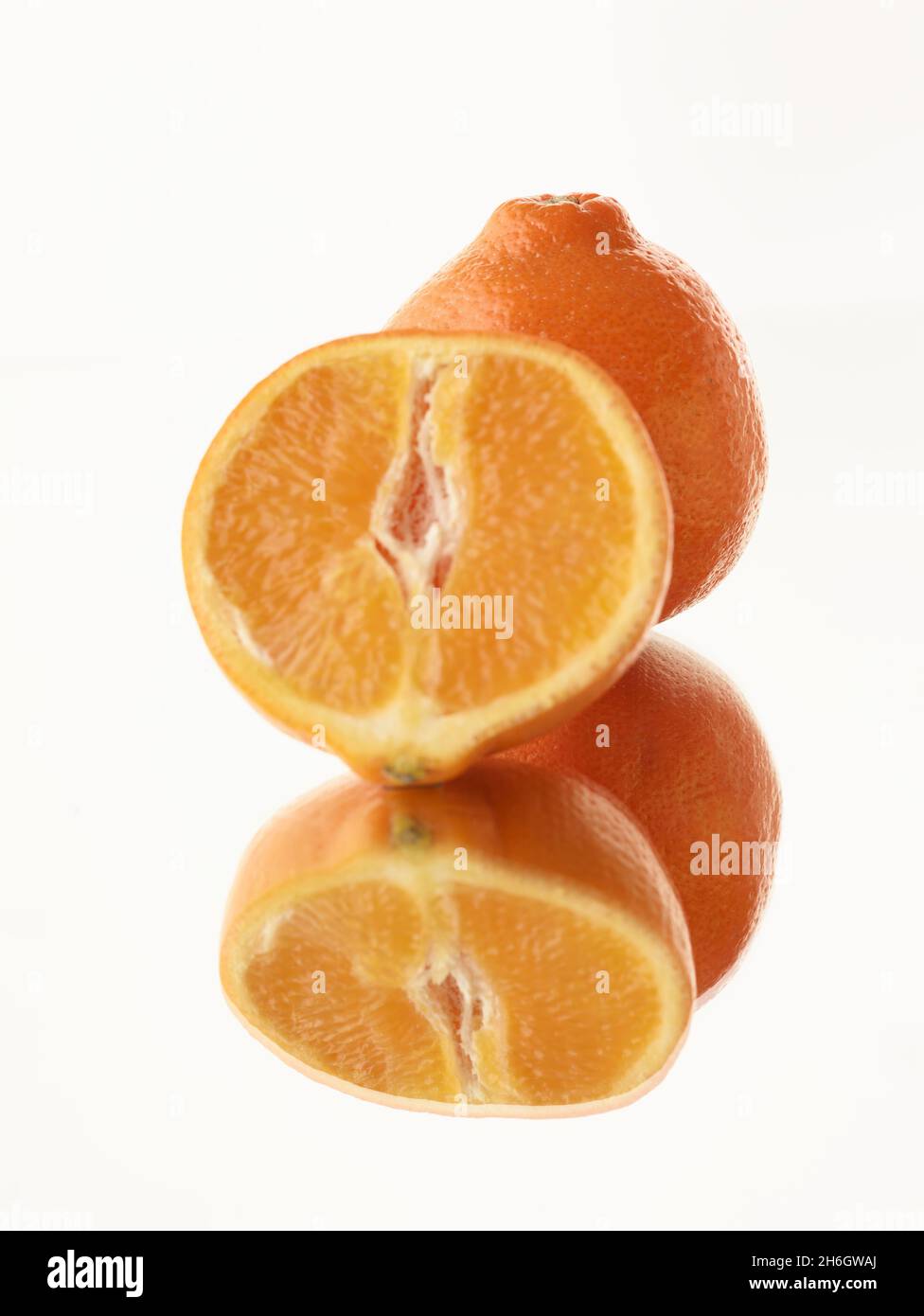 Super juicy Tangelo (Mineola Fruit) food stilllife representation