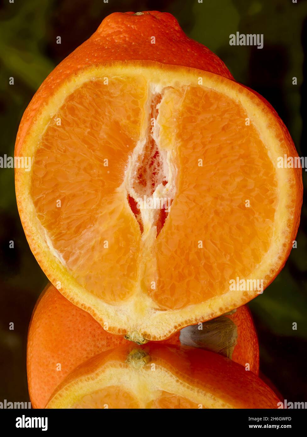 Super juicy Tangelo (Mineola Fruit) food stilllife representation
