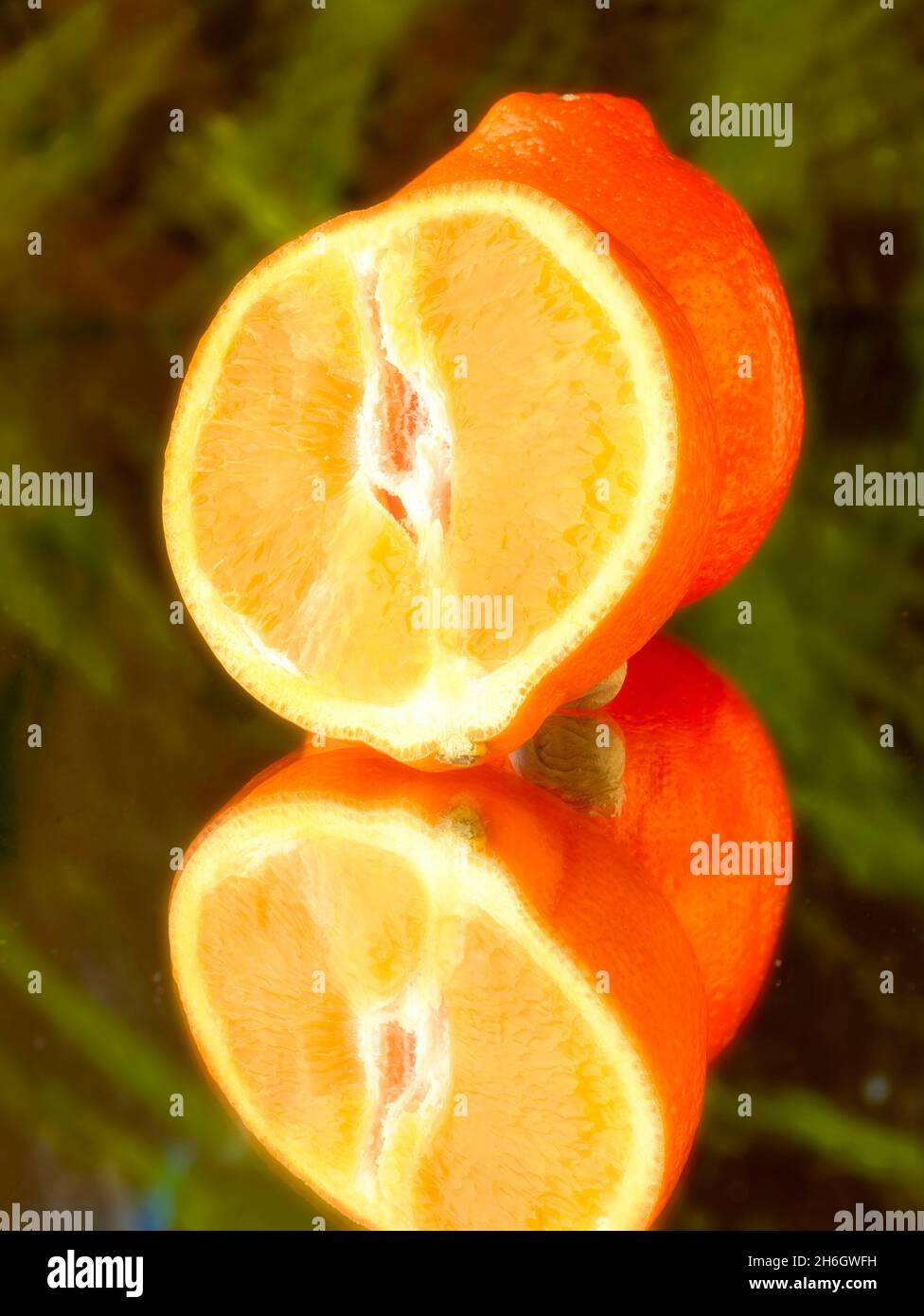 Mineola fruit tangelo hires stock photography and images Alamy