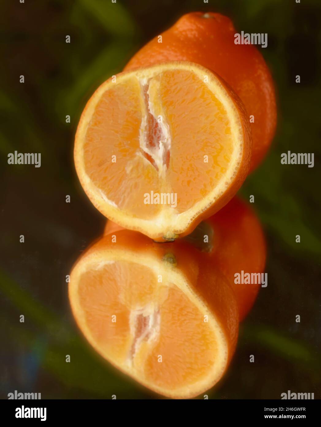 Super juicy Tangelo (Mineola Fruit) food stilllife representation