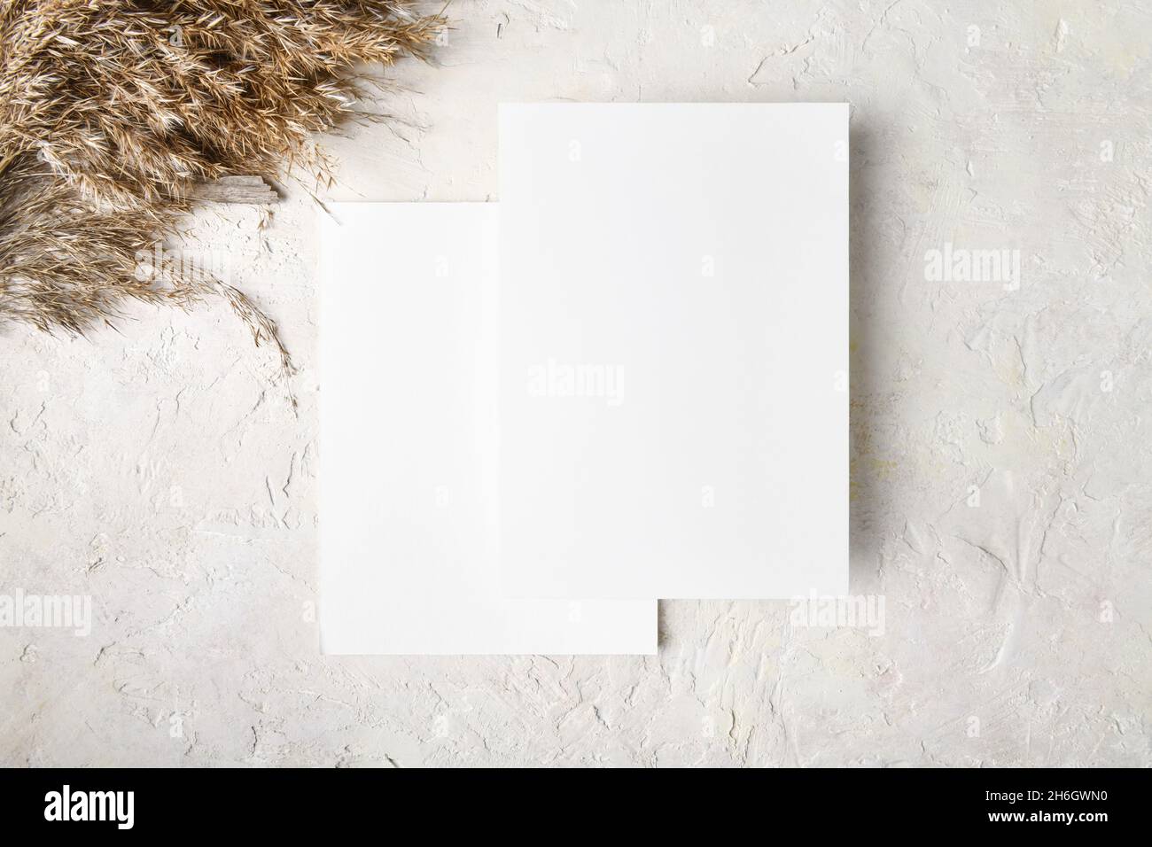 Two white invitation card mockup with boho decoration: pampas grass, natural eco-friendly decor, 5x7 ratio, similar to A6, A5, top view Stock Photo
