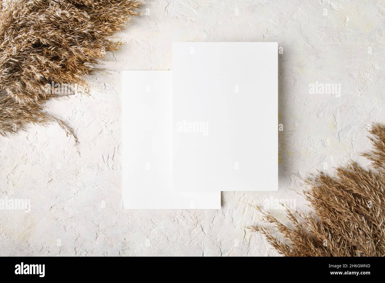 Two white invitation card mockup with boho decoration: pampas grass, natural eco-friendly decor, 5x7 ratio, similar to A6, A5, top view Stock Photo