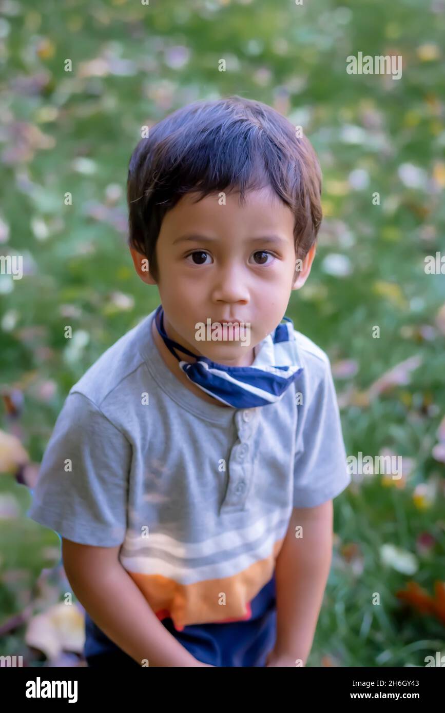 Asian American child Stock Photo