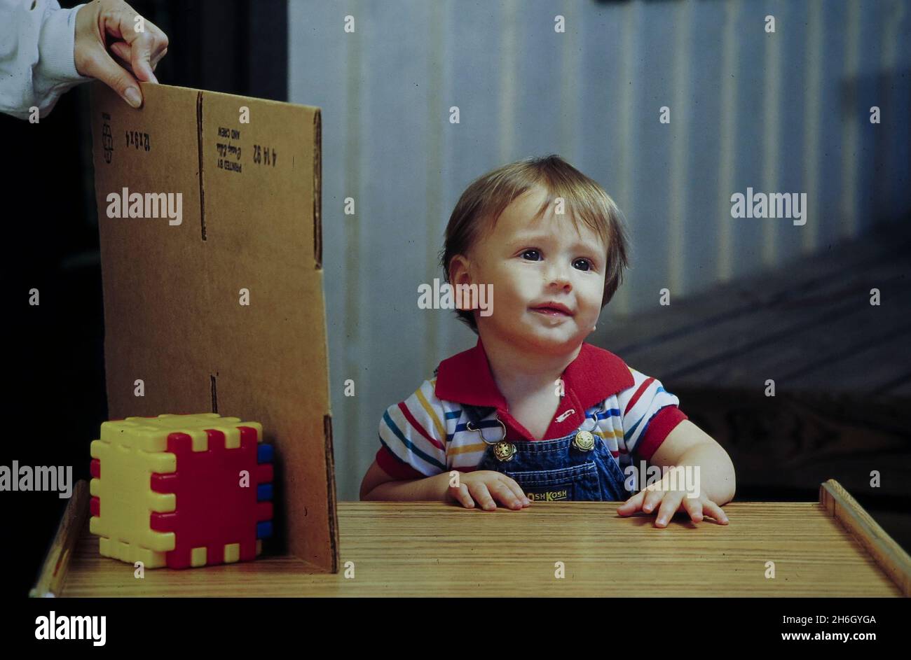 Austin Texas USA, 1995: Child development: 10-month old baby boy shows lack of 'object permanence' during an experiment in a college laboratory, as a lab assistant hides a toy behind a piece of cardboard.  MR EC-0000  ©Bob Daemmrich Stock Photo