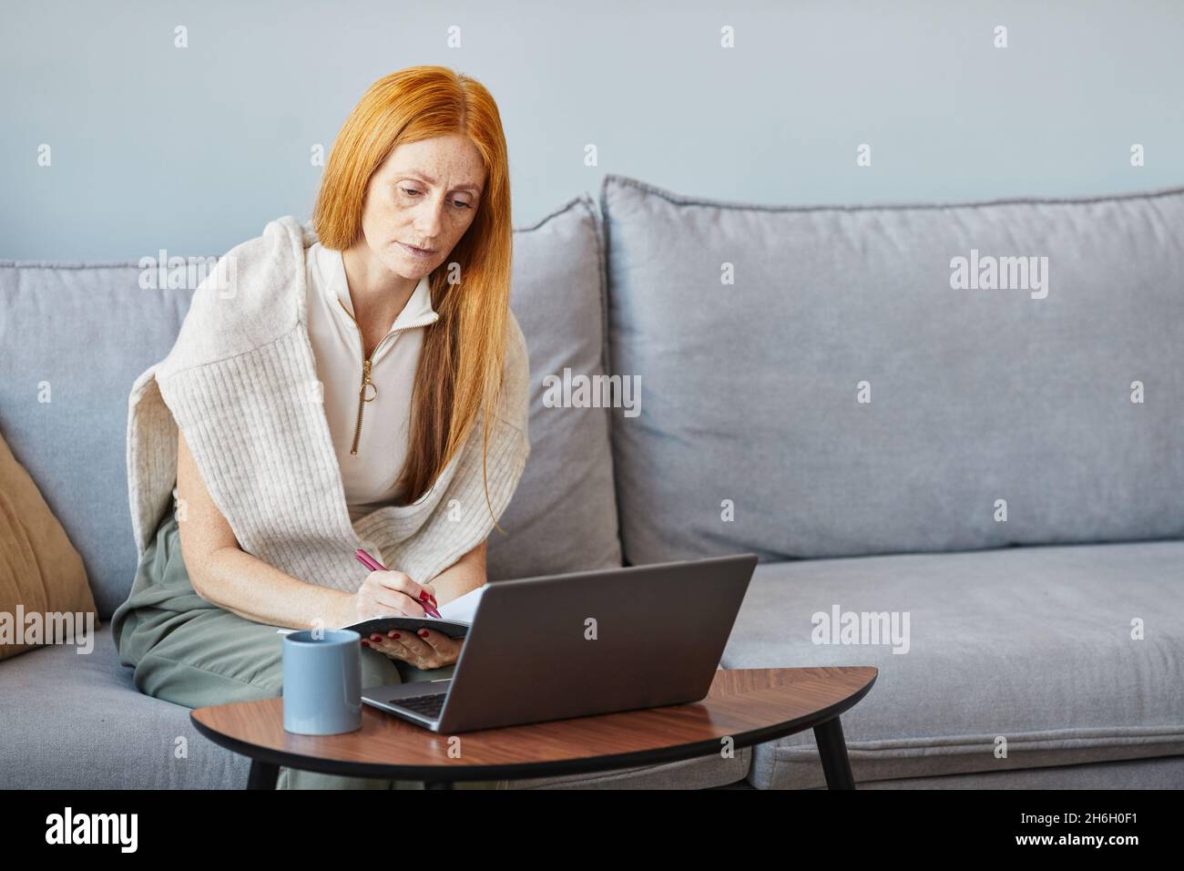 Portrait of adult red haired woman using laptop on sofa while studying online from home, copy space Stock Photo