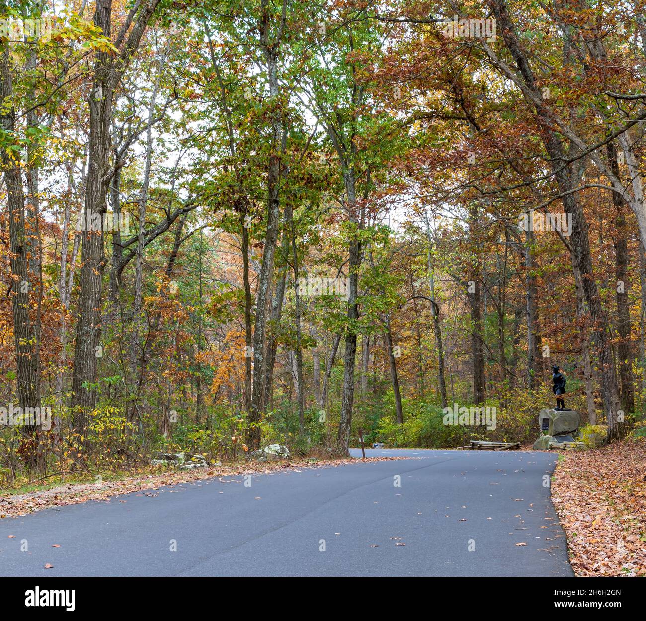 The monument of Major William Wells on South Confederate Avenue at the