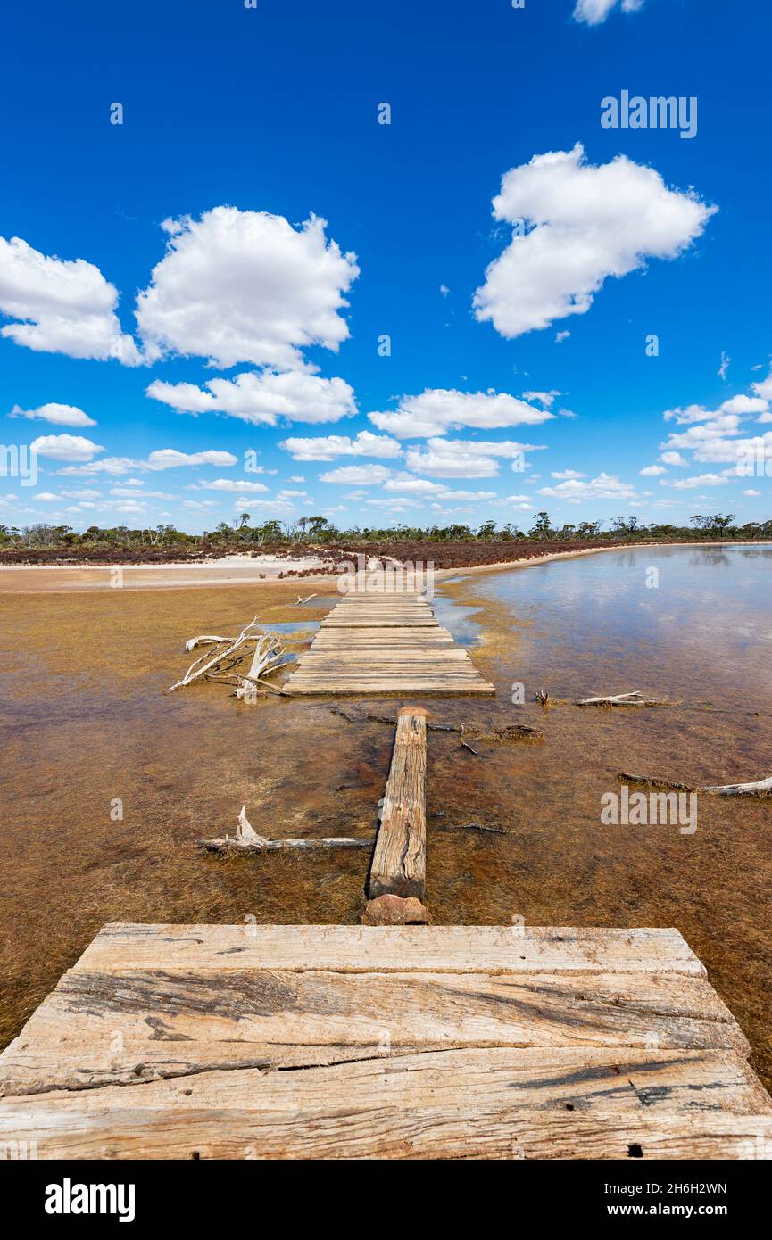 Vertical view of old style Corduroy Road of wooden beams across marshes, near Lake Grace, Western Australia, WA, Australia Stock Photo