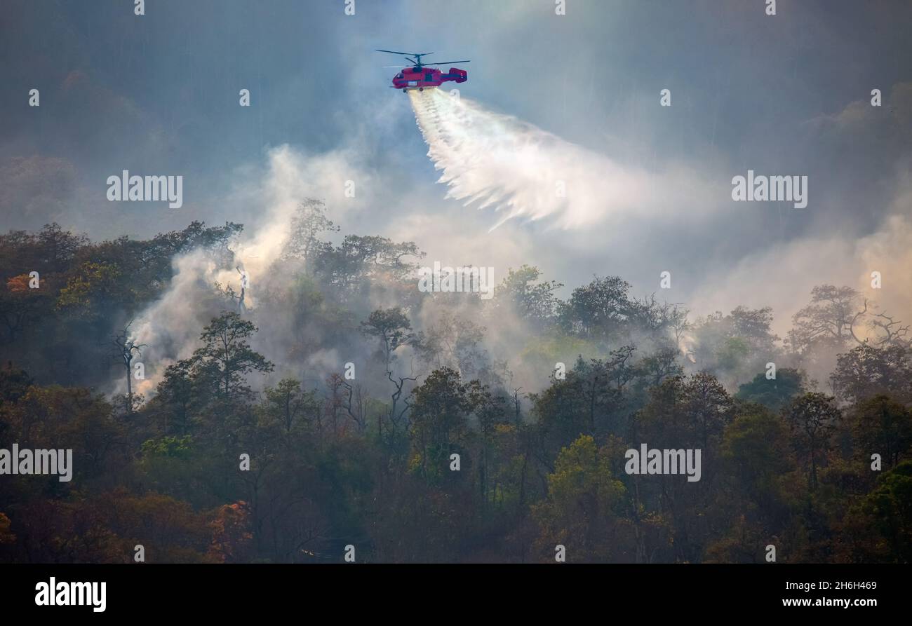 Fire fighting helicopter dropping water on forest fire Stock Photo Alamy