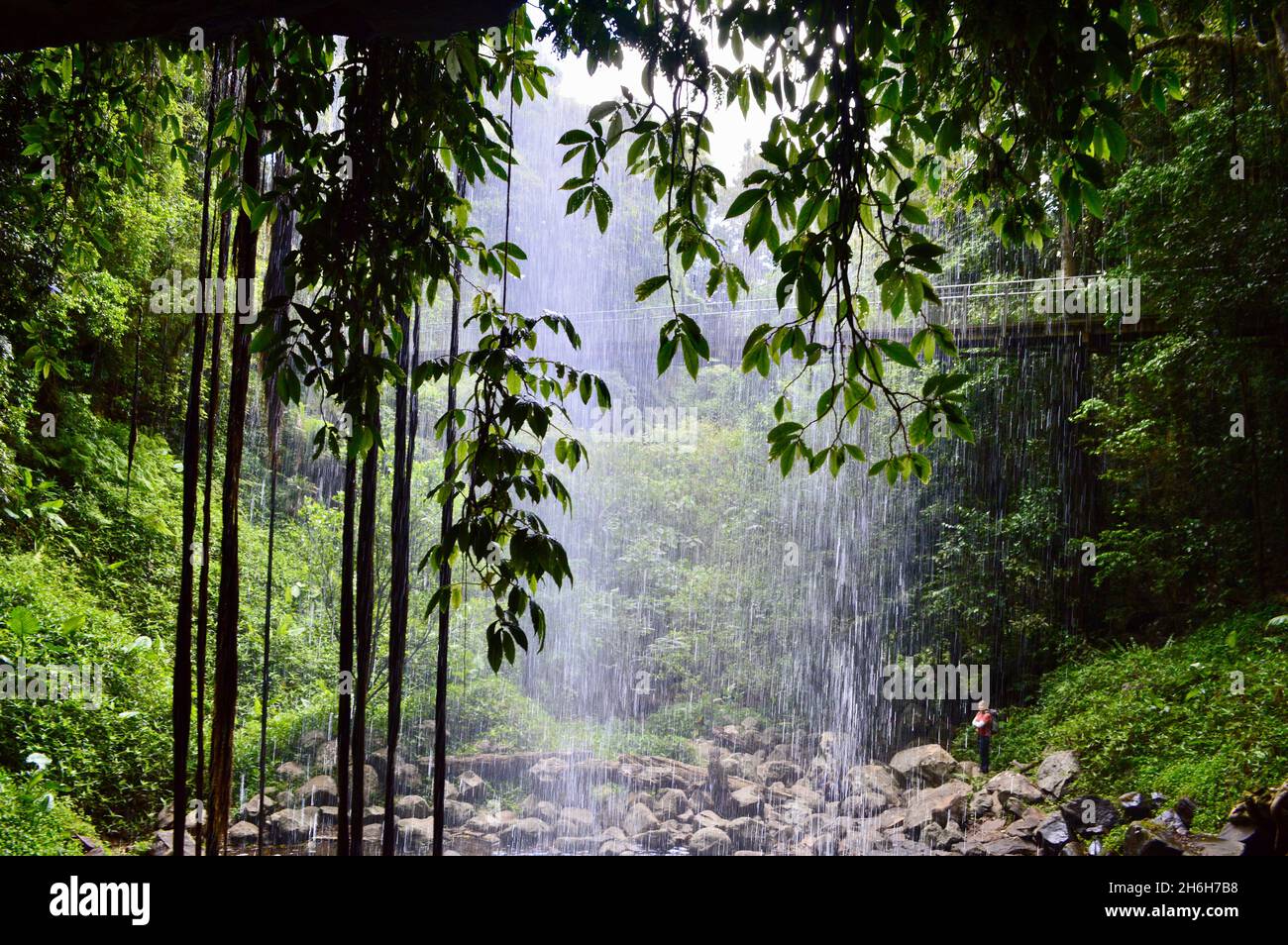 A view of Crystal Shower Falls in Dorrigo National Park, NSW Stock