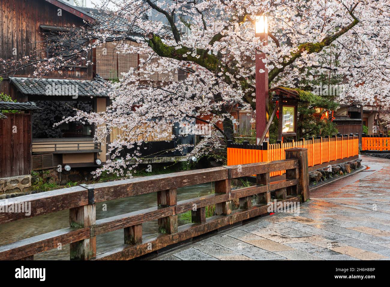 Kyoto, Japan along Shirakawa Dori Street in the spring season. Stock Photo