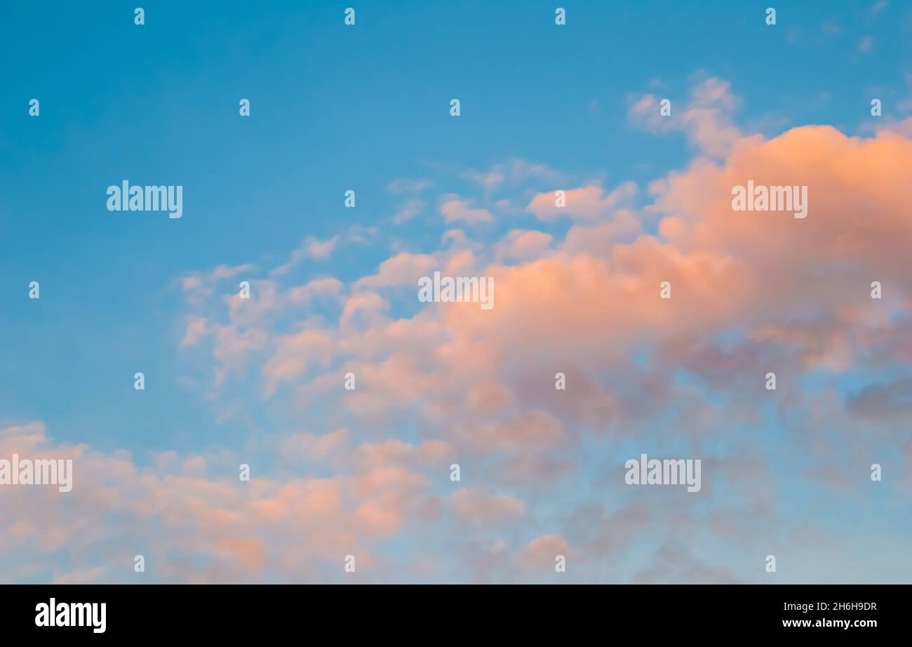 Background of blue sky with pale pink clouds in sunset Stock Photo - Alamy