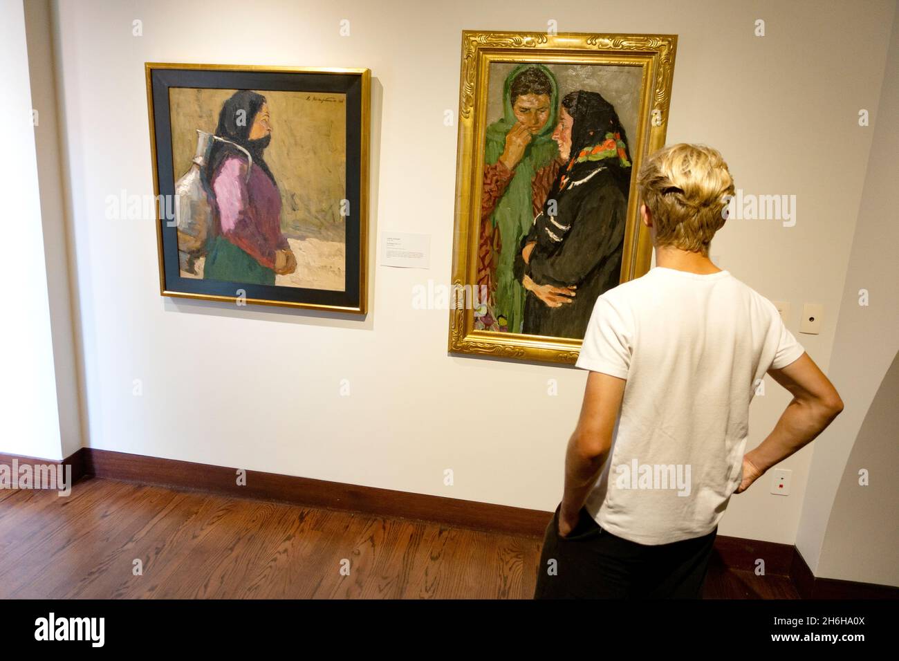 Teenage boy viewing Russian painters at the Museum of Russian Art. Minneapolis Minnesota MN USA Stock Photo