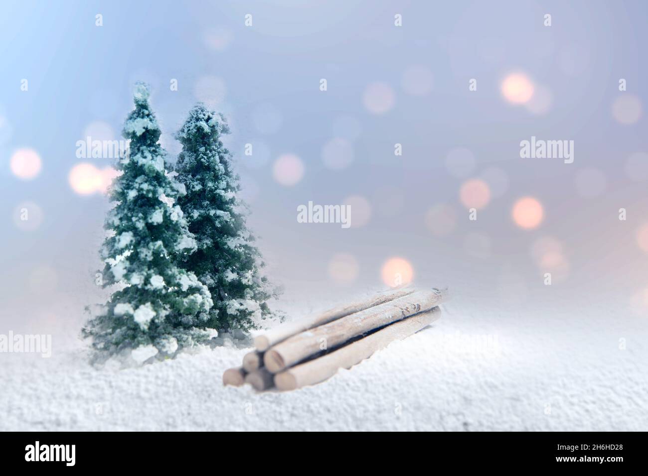 Snowy fir trees on the snowfield Stock Photo