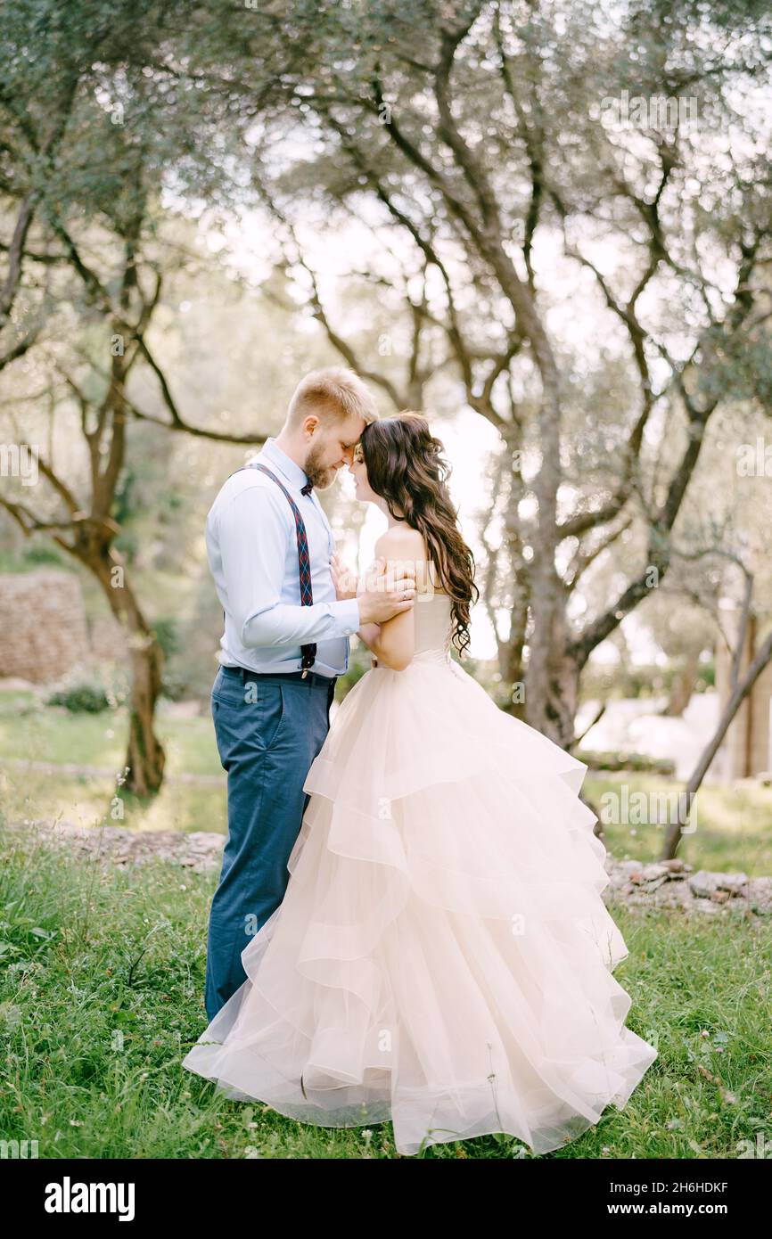 The bride and groom stand hugging among the trees in the olive grove ...