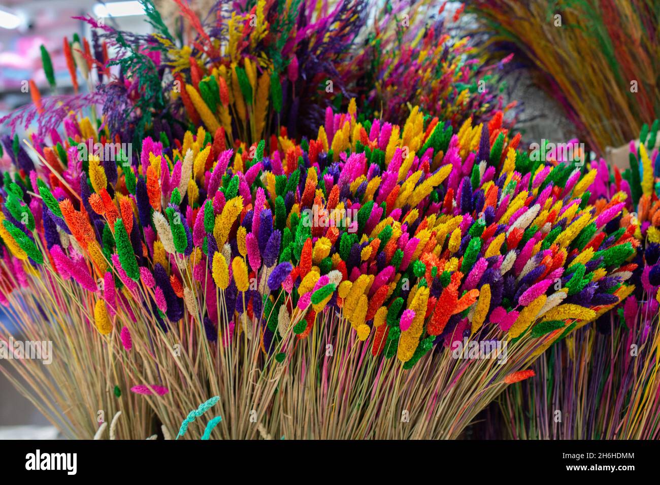 Dried flowers for creativity Stock Photo Alamy
