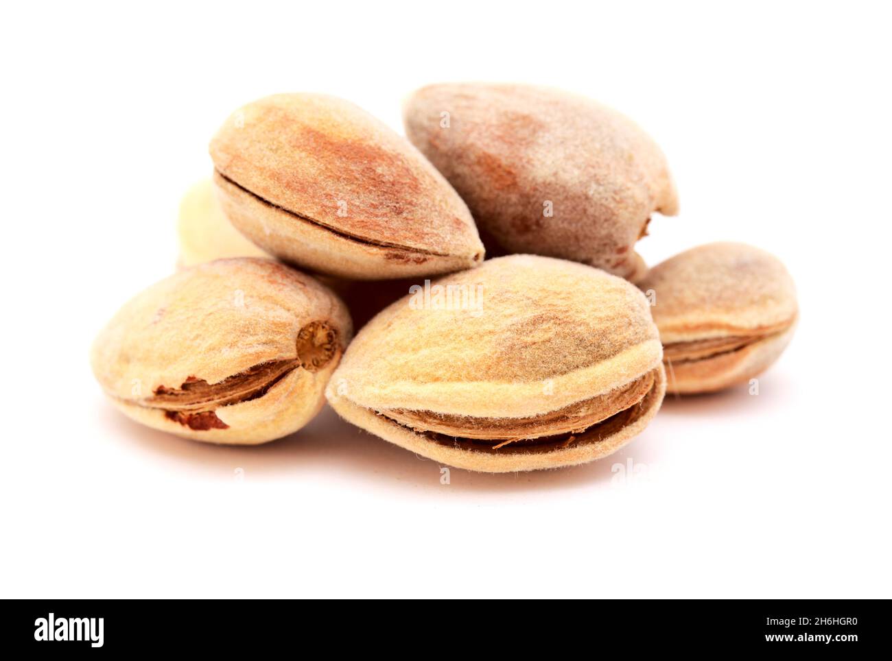 Horticulture of Gran Canaria - ripe almond nuts still in the outer soft  shell, picked directly from the trees Stock Photo - Alamy