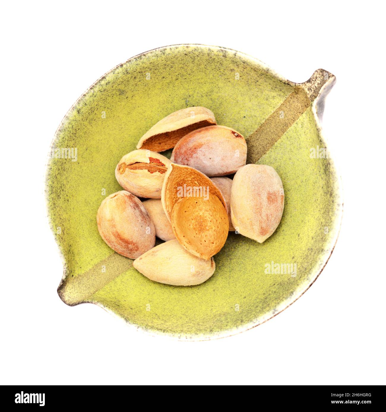 Horticulture of Gran Canaria ripe almond nuts still in the outer soft