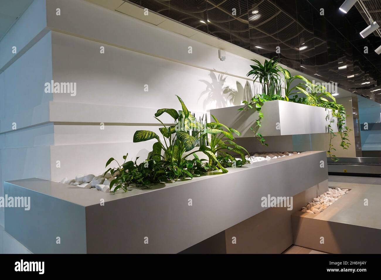 Shot of modern interior design with indoor plants under the light Stock Photo