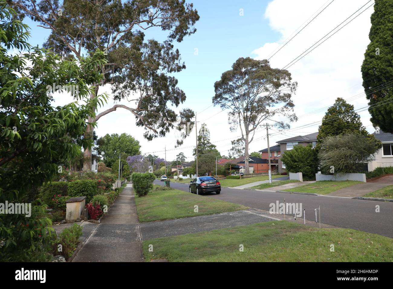 Cecil Street, Denistone East, Sydney, NSW, Australia Stock Photo Alamy