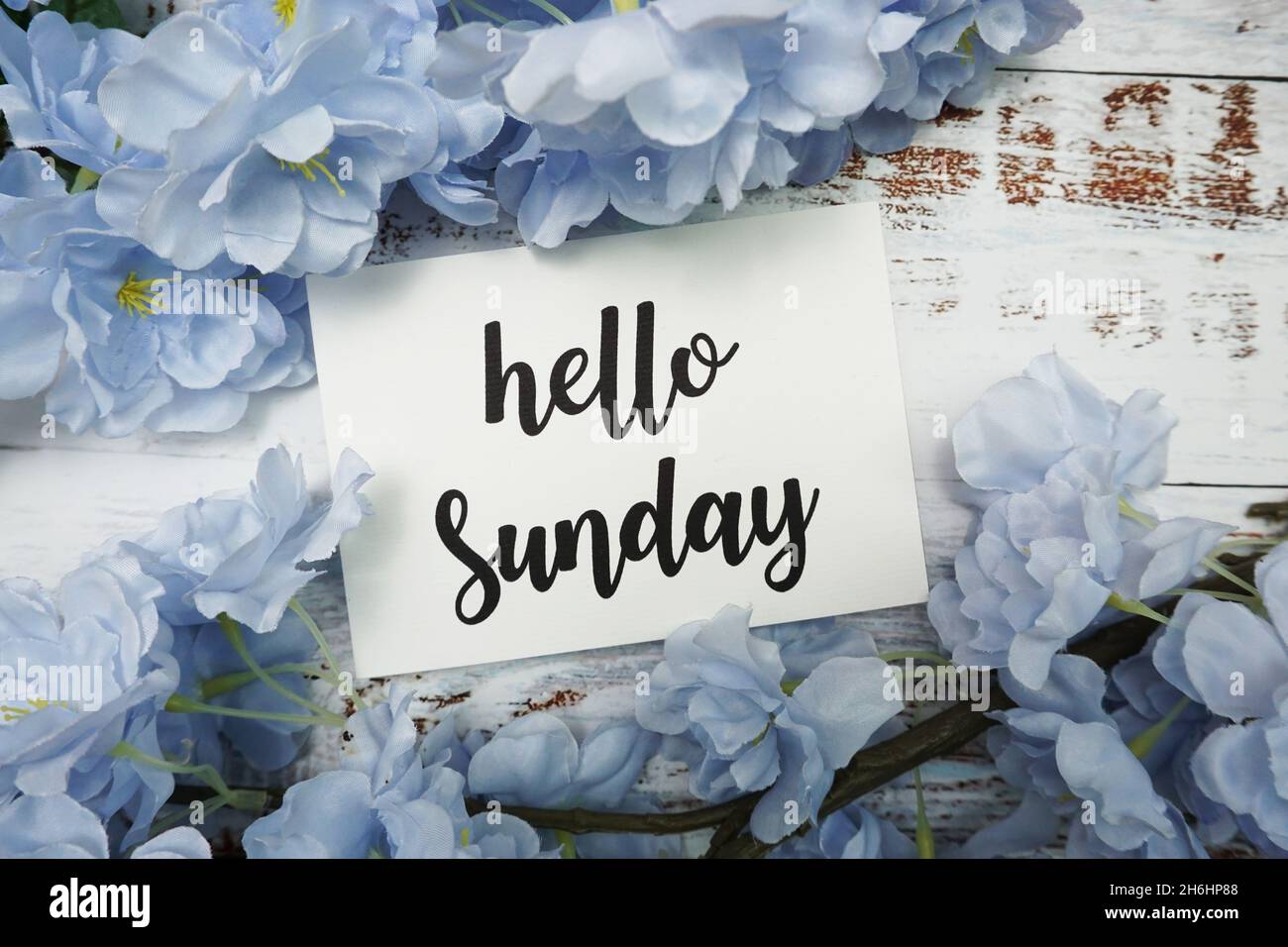 Hello Sunday Card with Blooming flower on wooden background Stock Photo