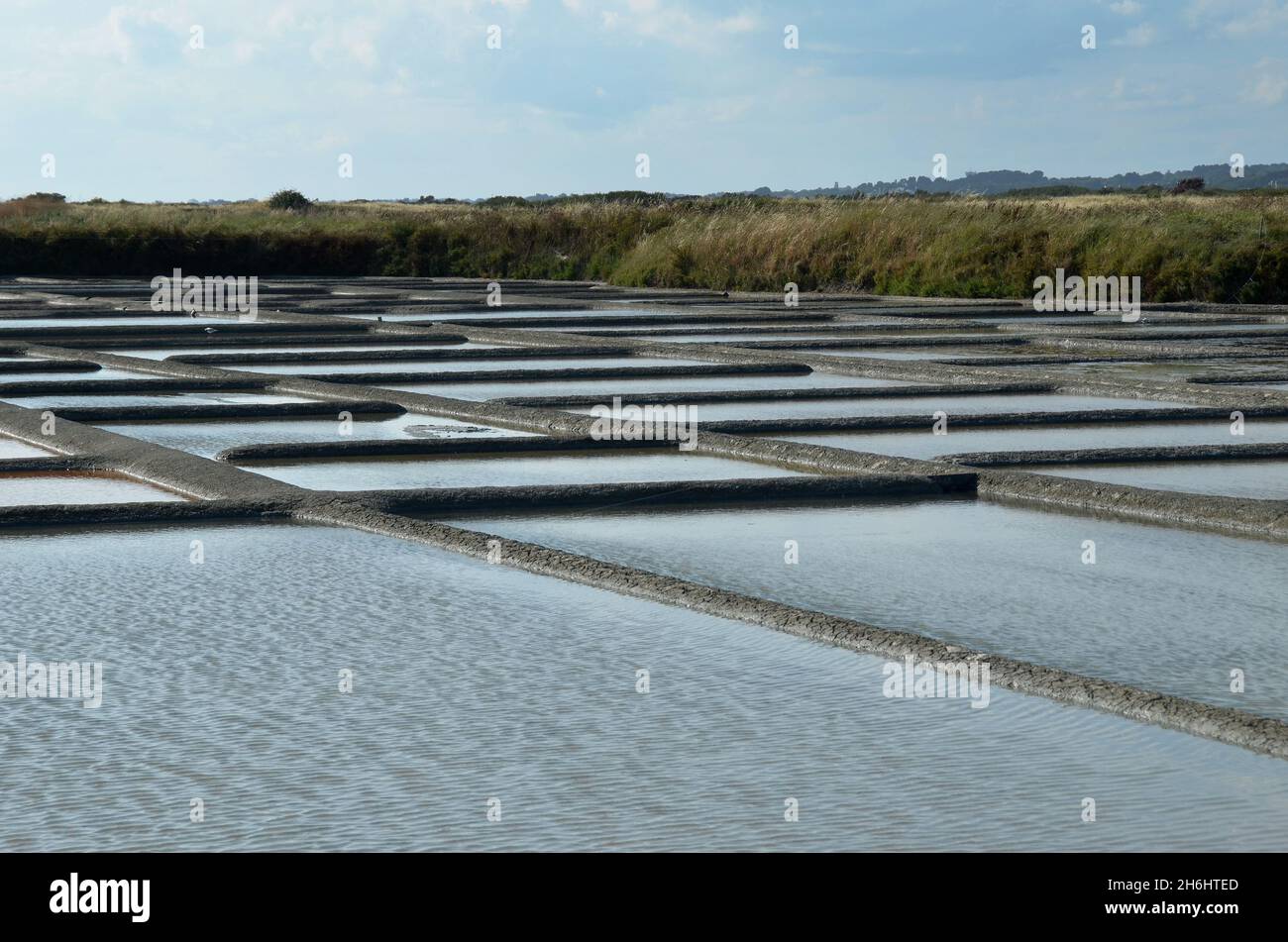Salt marshes near the little town of Guérande are still very active and ...