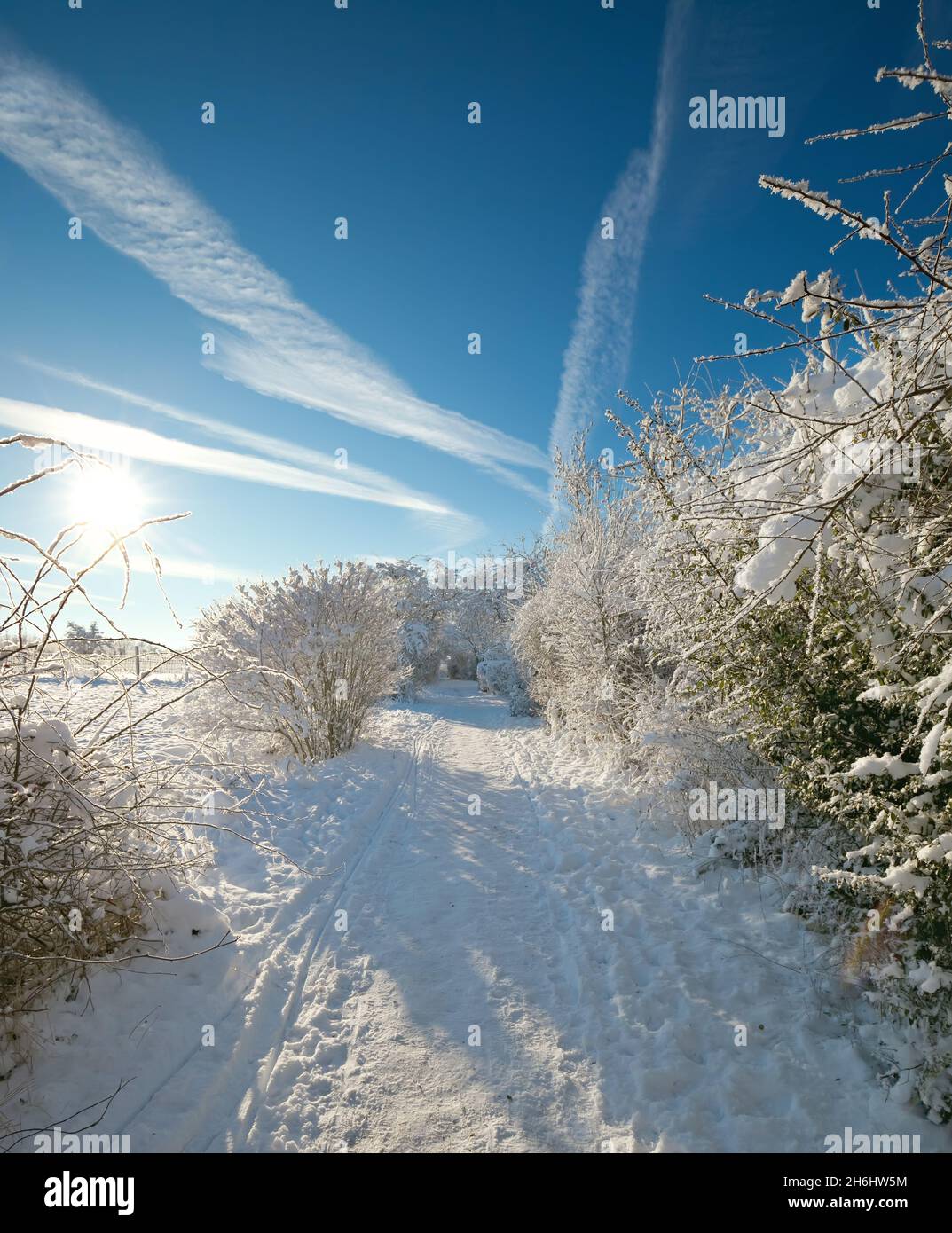 winter landscape with morning sun Stock Photo