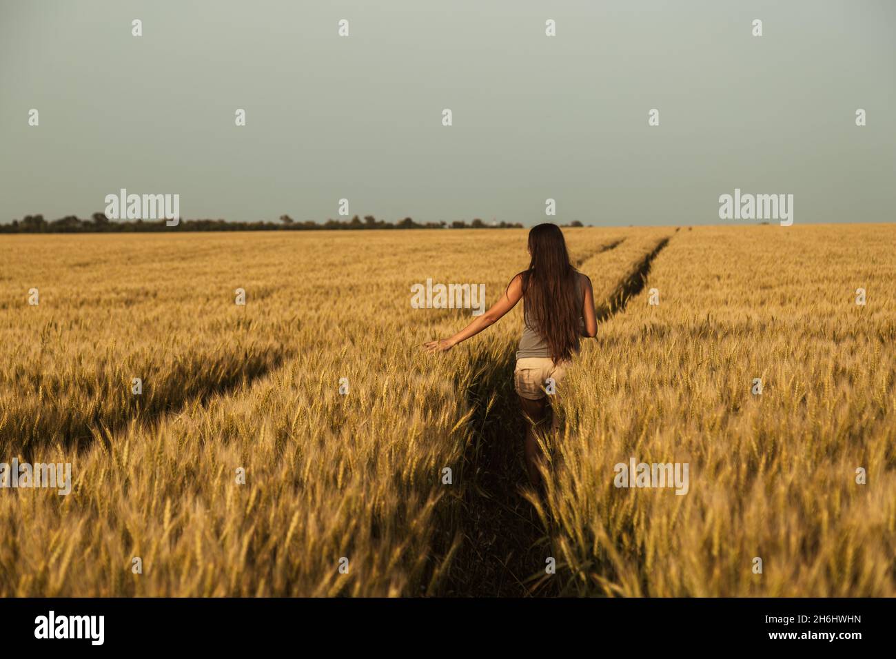girl with long hair in a golden wheat field Stock Photo - Alamy