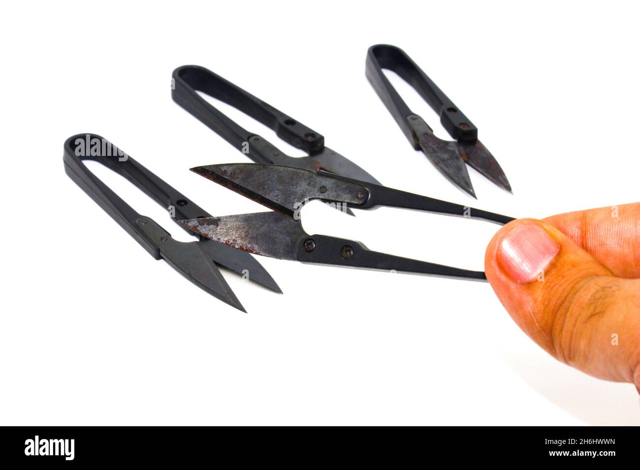 Wire cutter isolated on white background with selective focus Stock Photo