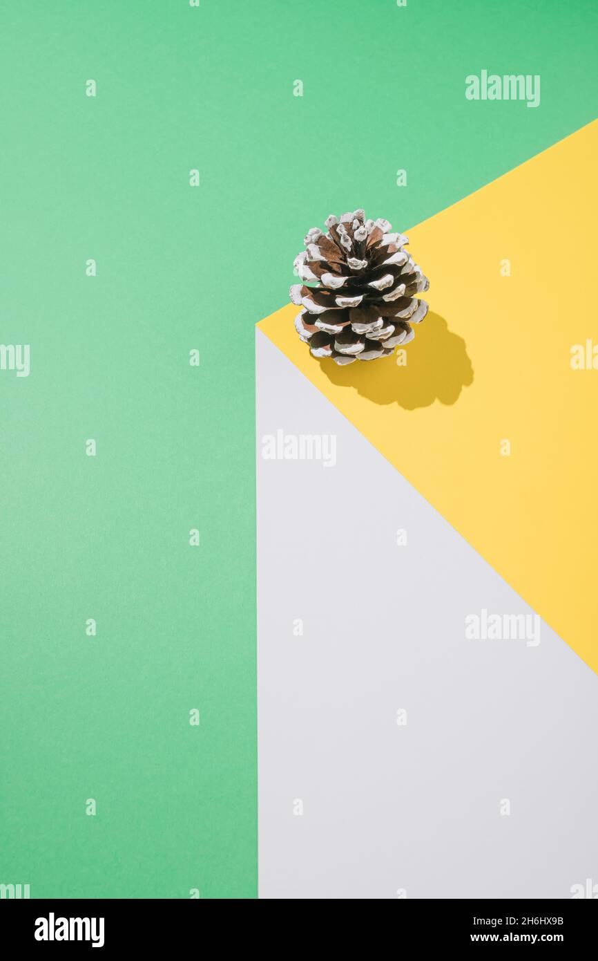 Vintage geometric concept with pine cone on white, yellow and mint green background. Creative gravity arrangement. Minimal Christmas or winter composi Stock Photo