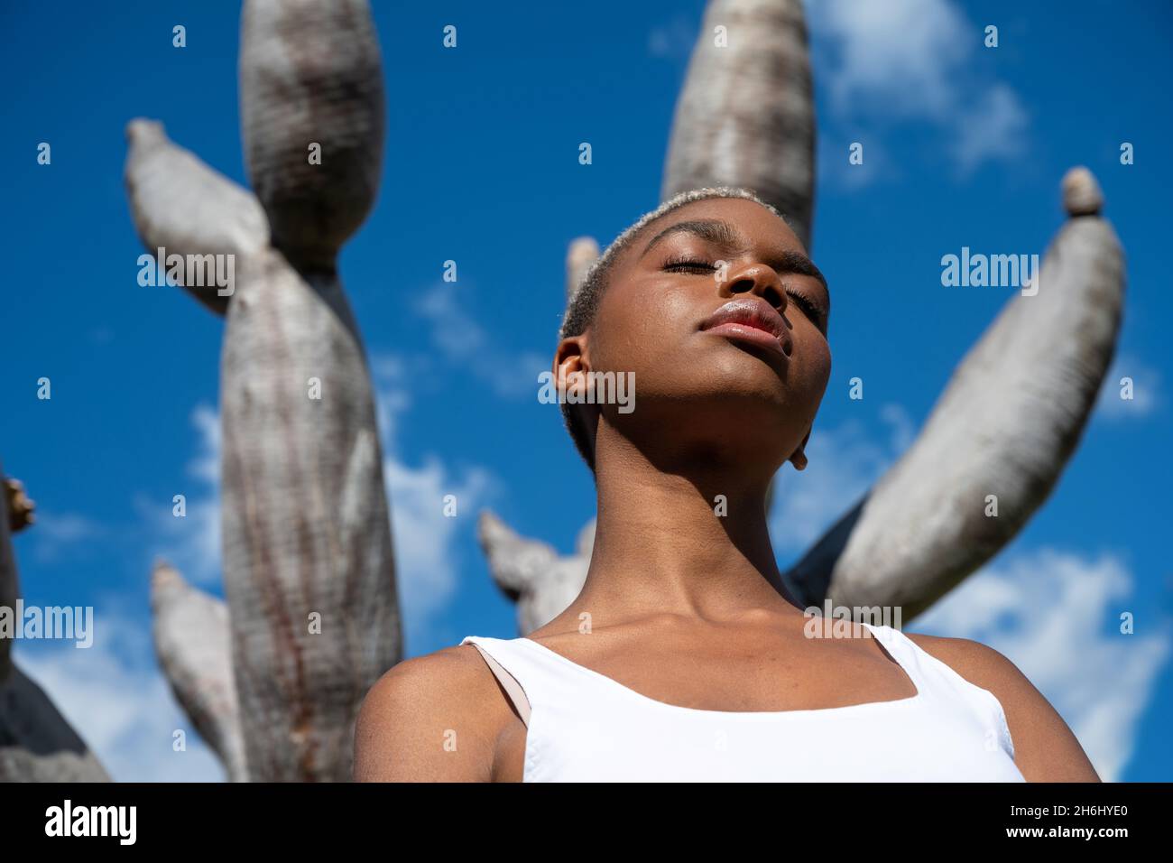 Low angle of relaxed African American female standing with closed eyes against dragon tree and enjoying sunny weather in exotic garden in summer Stock Photo